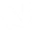 logo-np-branco